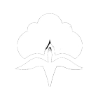 cotton.png